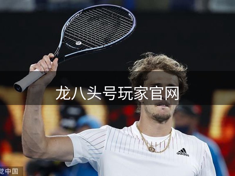 网站详情